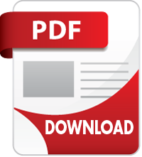 pdf-icon copy